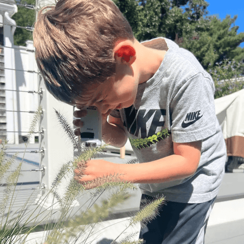 Kids Miniscope - More Than Just A Toy Teeny Pandas