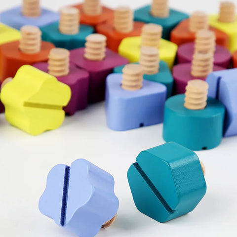 Montessori Wooden Screw and Color Relationship Toy – Educational and Fun Teeny Pandas