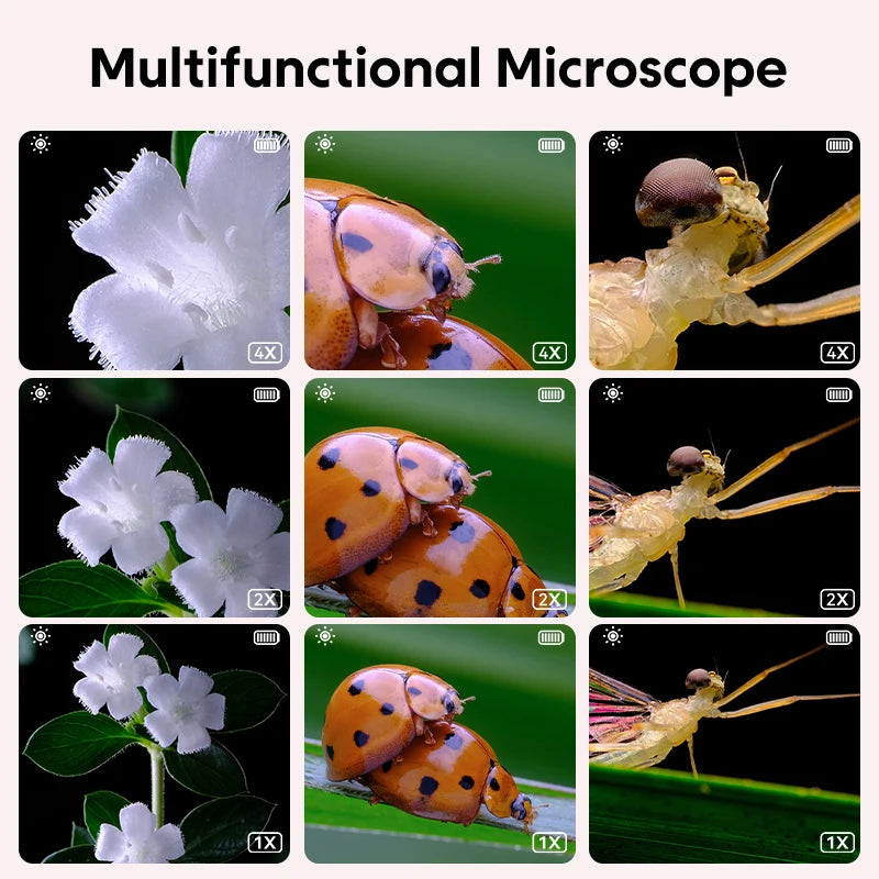 DiscoveryScope Children's Electronic Microscope – Inspiring Young Scientists Teeny Pandas