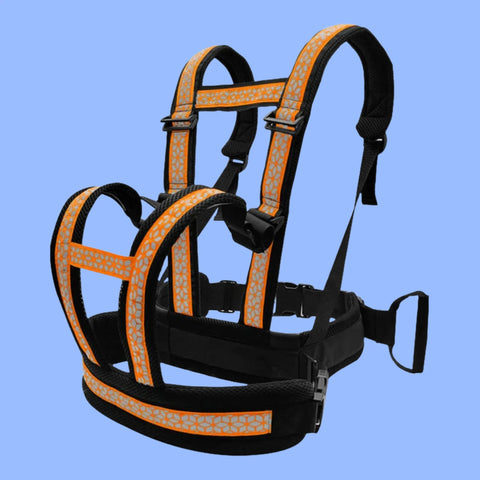 Children's Motorcycle Harness Belt - Adjustable Non-slip Protection with Rear Seat Grab Handle