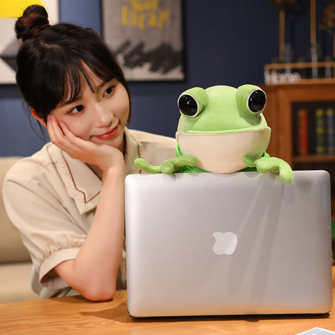Kawaii Cloak Frog Plush Toy – Soft Stuffed Animal Hug Pillow
